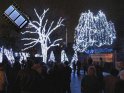 Toledo Zoo Lights 2008 111
